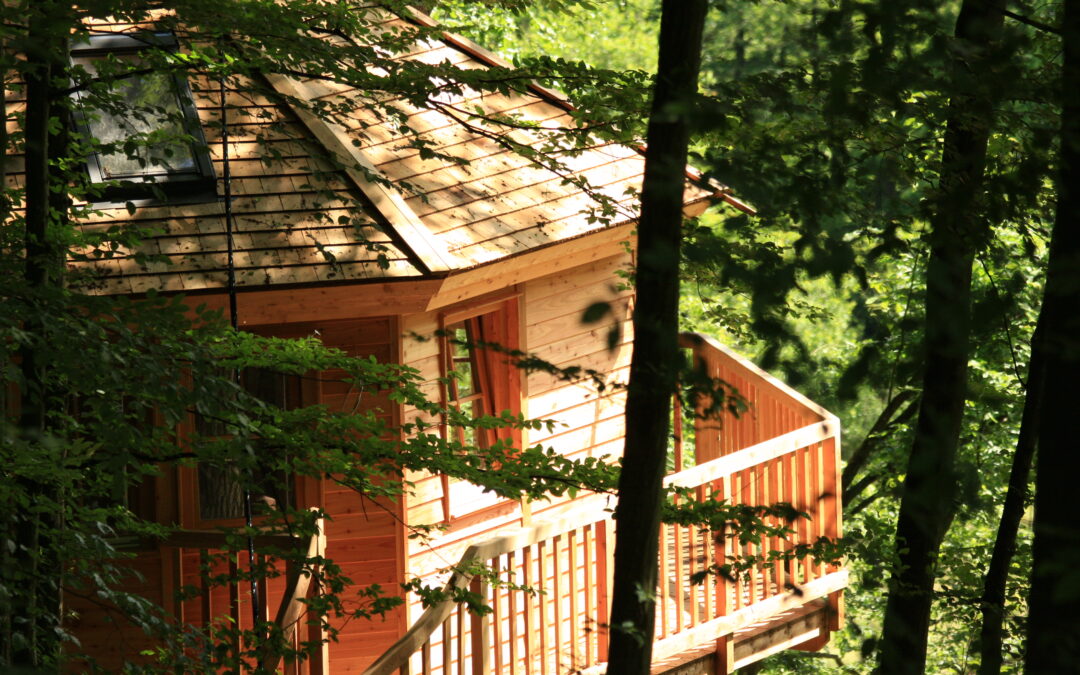 Das „Baumhaushotel Seemühle“ in Gräfendorf