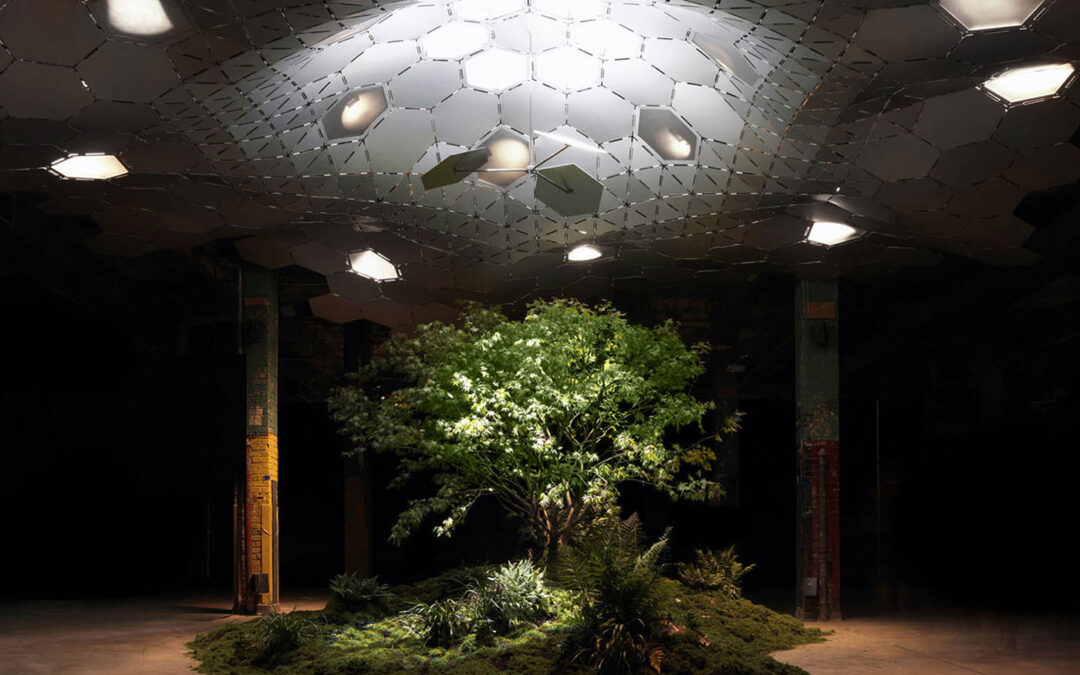 The Lowline – Der erste Untergrundpark der Welt