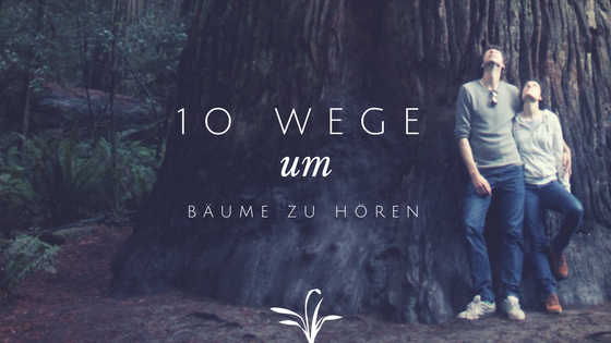 10 Wege um Bäume zu hören