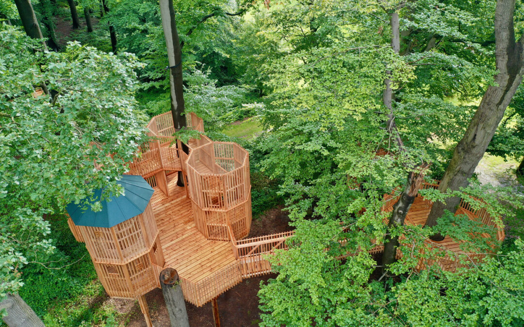 Das Baumabenteuer in Moyland