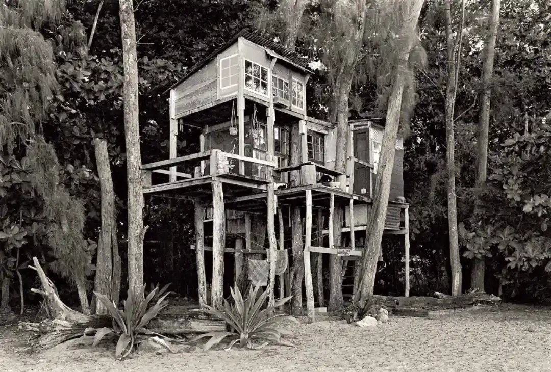 Ein großes Baumhaus auf Stelzen, umgeben von Bäumen am Waldrand.